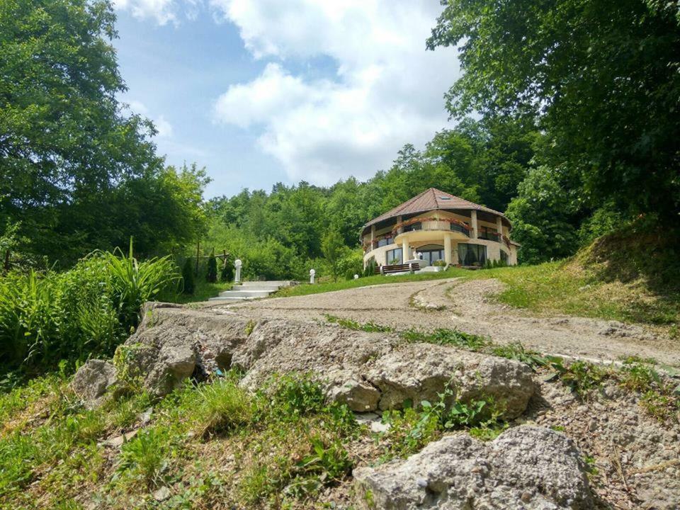 Hotel Pensiunea Medeea Pestis Exterior foto